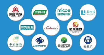 如何在众多大数据营销公司中慧眼识珠？选择靠谱服务商的全面指南